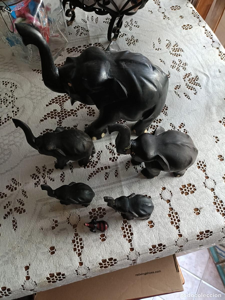 Art: ELEFANTE ELEFANTES EBANO GUINEA SIN CUERNOS VER FOTOS
