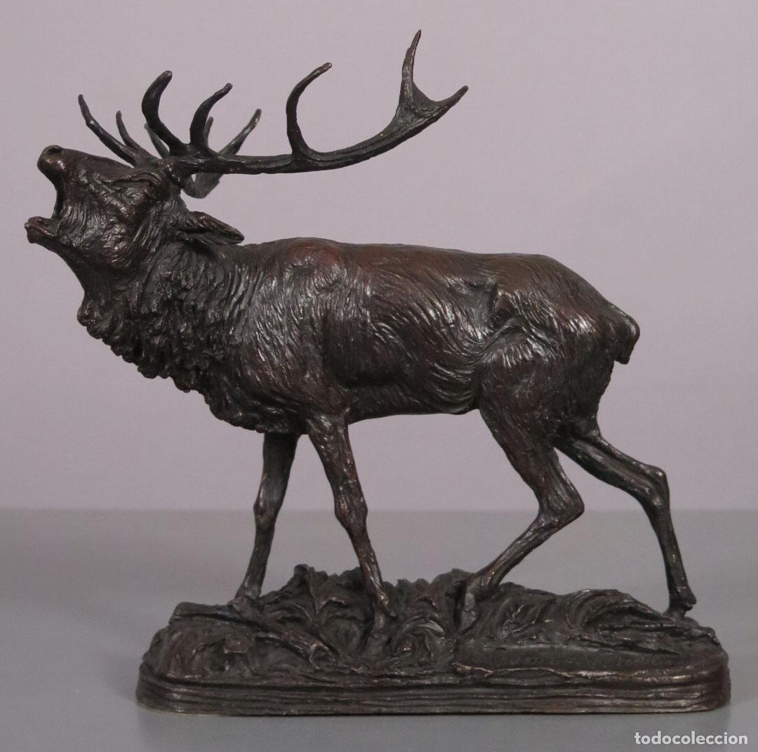 Arte: CIERVO BERREA. BRONCE. BONILLA VILLALBA, FRANCISCO