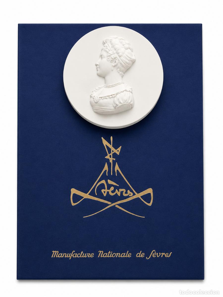 Arte: Medall&oacute;n, Retrato en Relieve en Porcelana de Biscuit - Manufacture de S&egrave;vres - Georges Mathieu