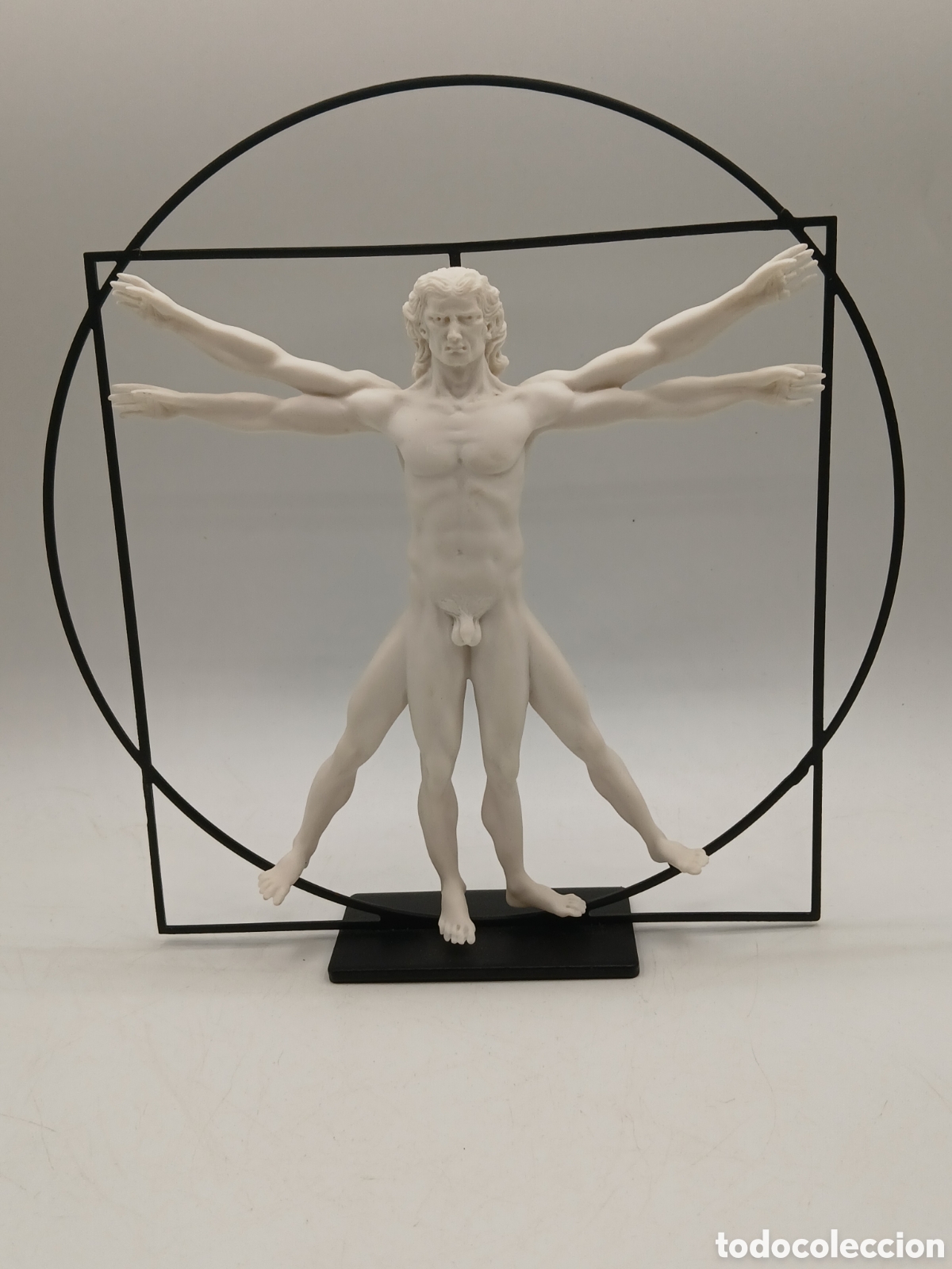 Arte: Hombre del Vitruvio escultura resina y metal