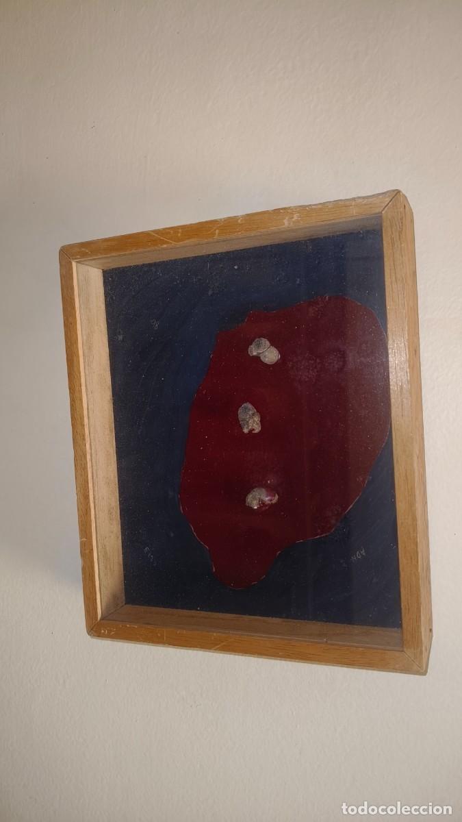 Arte: Orden del Mundo 1978 artiste Elena Miro num&eacute;ro 1 ADN