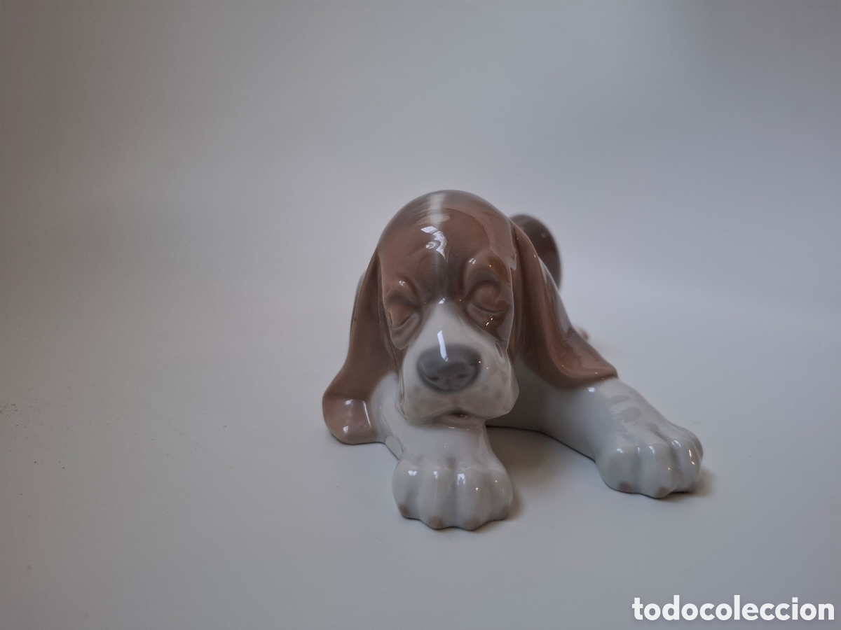 Arte: Perro Basset Hound de Lladr&oacute;