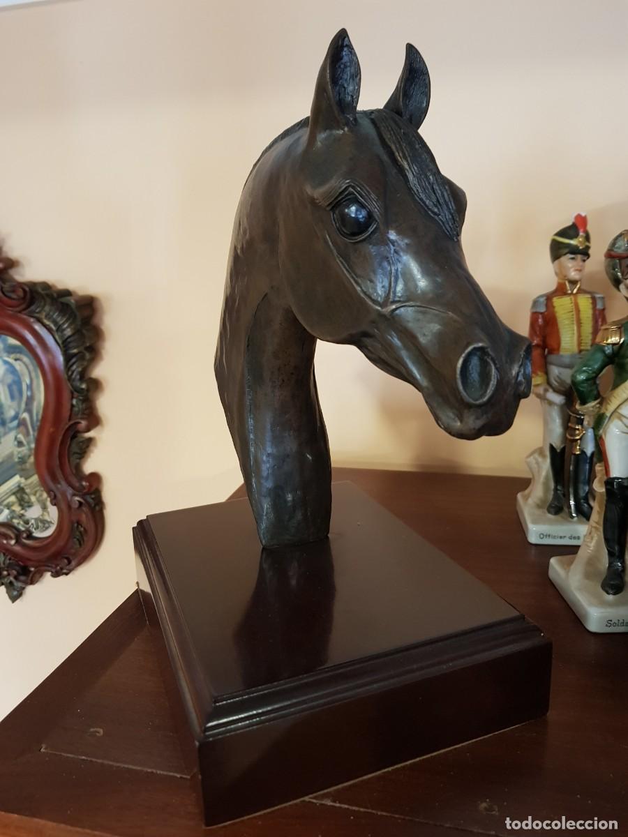 Arte: Nicolas Domecq Ybarra Figura Cabeza de Caballo Arabe 25/30 Escultura de Bronce 1995