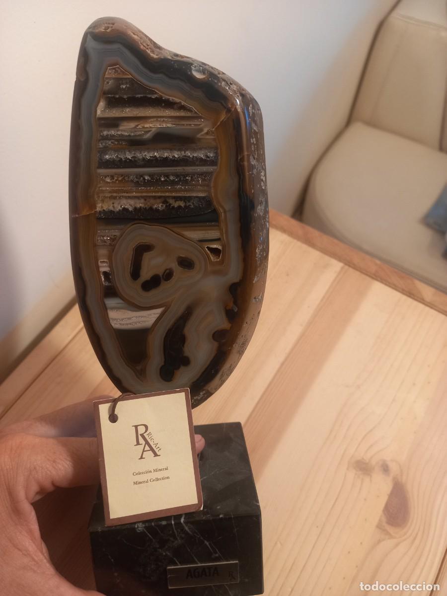 Arte: Escultura Rodaja de &Aacute;gata. Pie de marmol