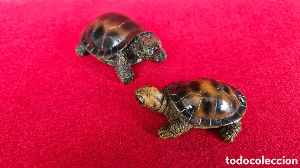 Arte: Tortugas de resina.......