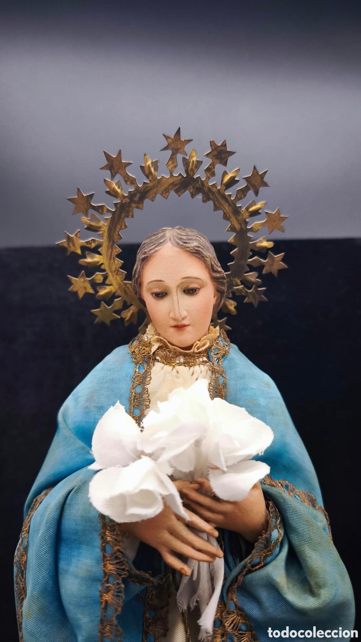 Arte: Virgen Pur&iacute;sima Cap y Pota en madera