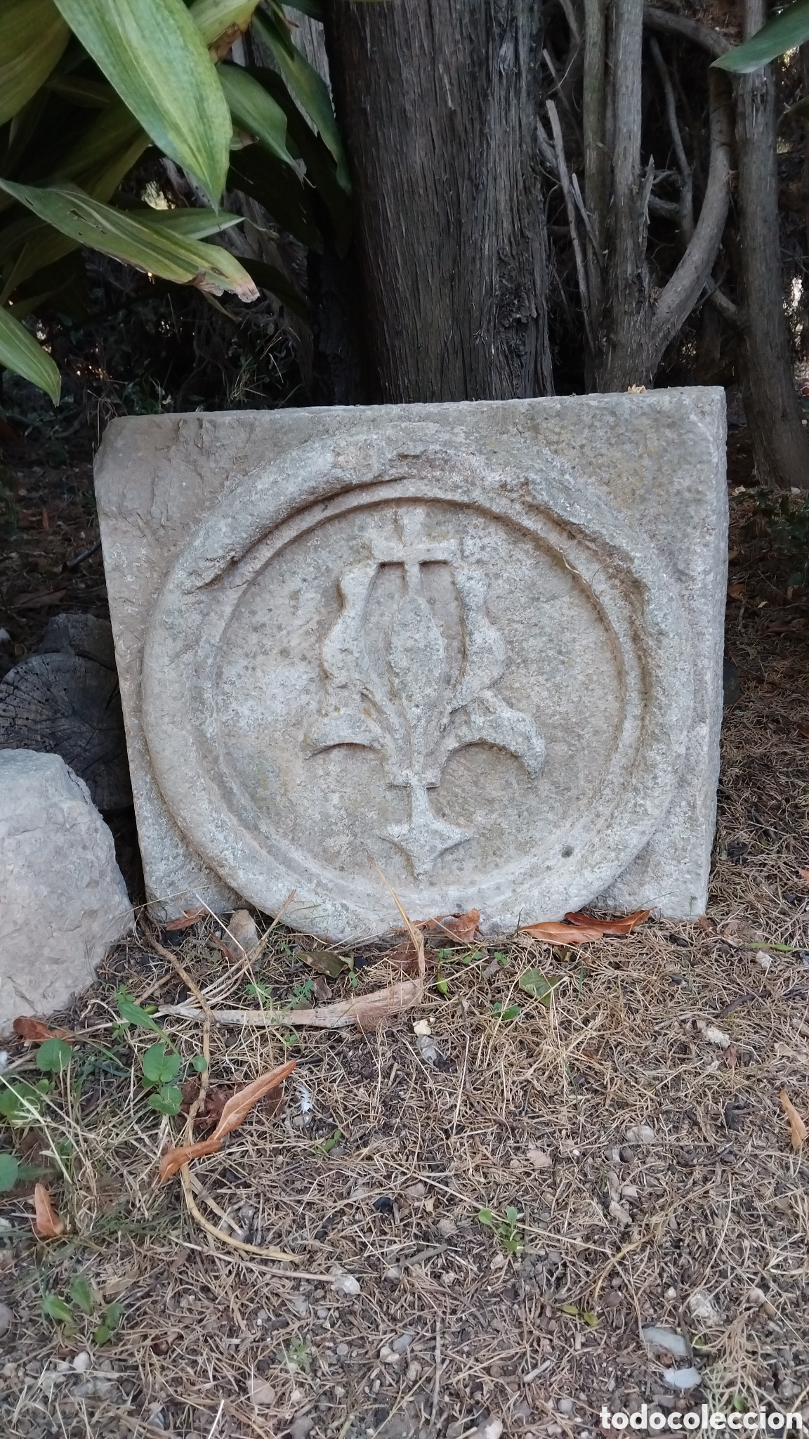 Arte: Piedra antigua con imagem esculpida