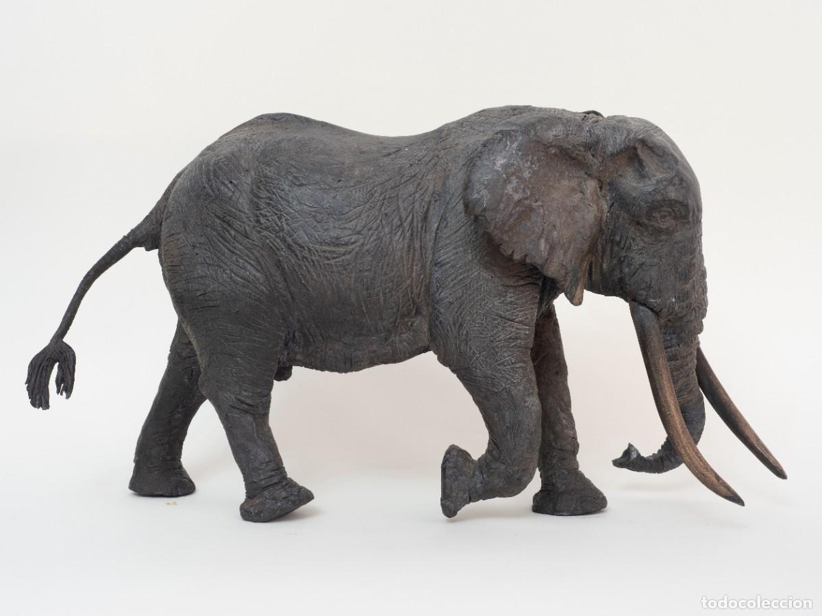 Arte: JMSQLPTOR: Elrond, Elefante Africano Macho. Escultura original de bronce. Ejemplar 1 de Serie de 8