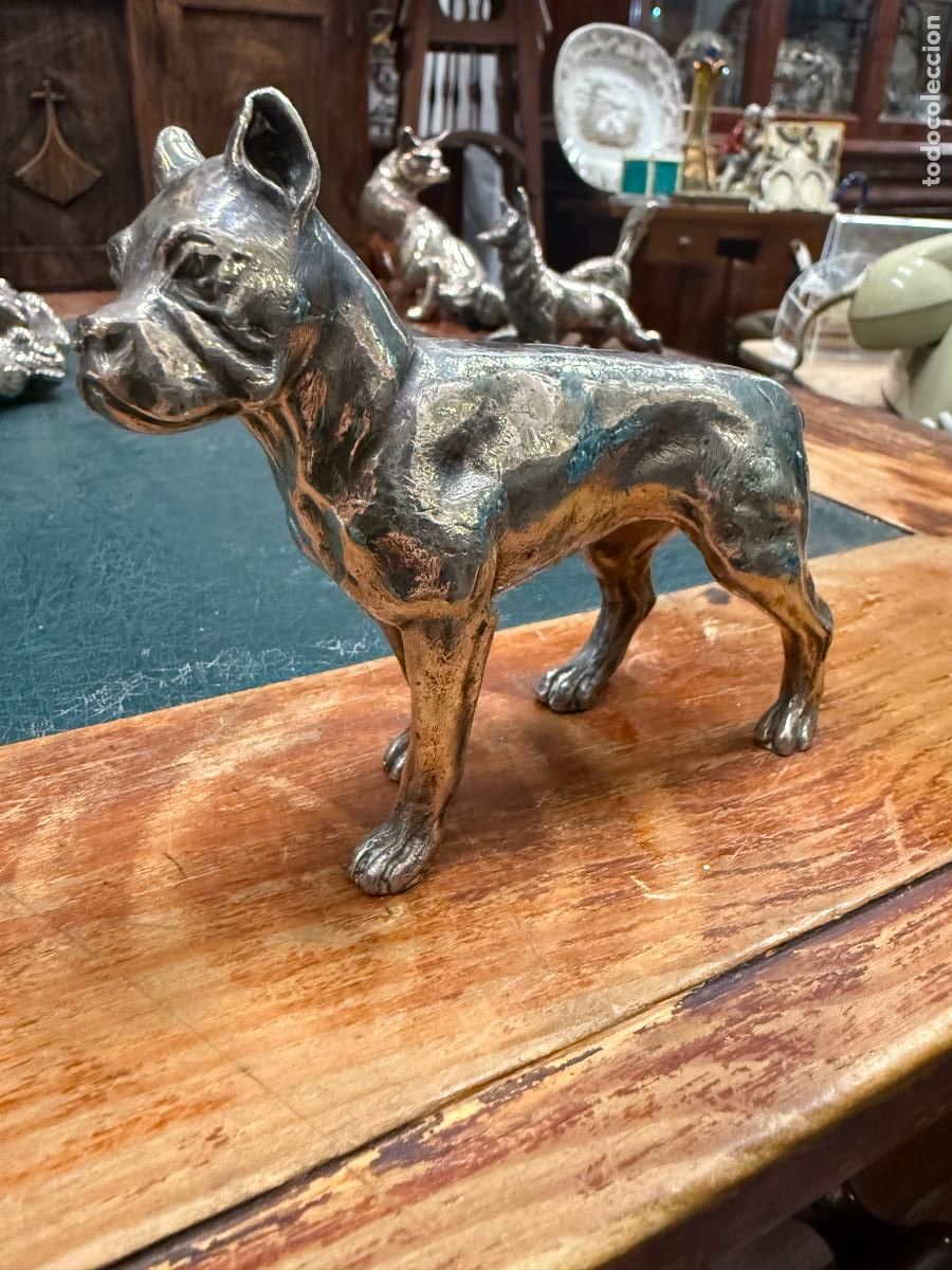 Arte: ESCULTURA PERRO DE BRONCE Y BA&Ntilde;O DE PLATA - MEDIDA 12 CM