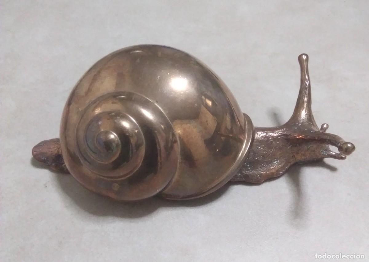 Arte: Escultura Caracol en bronce. Jos&eacute; Lu&iacute;s Fernandez