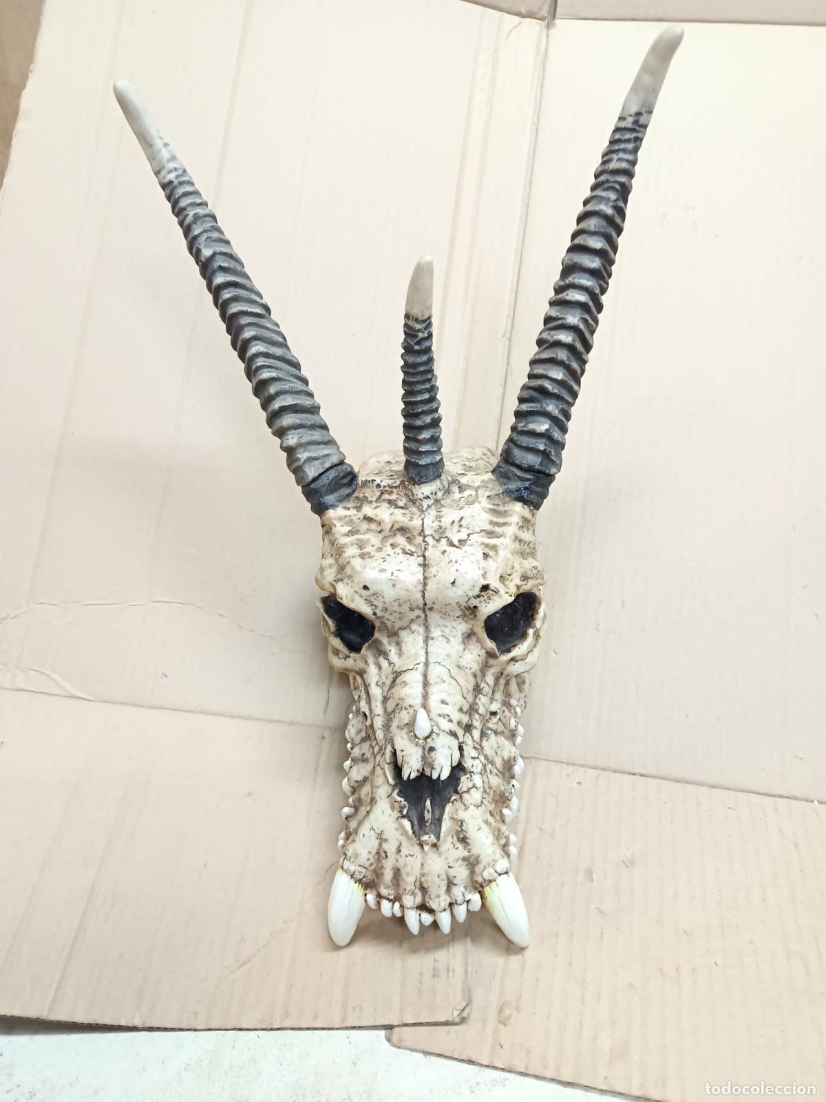 Arte: CRANEO DE DRAGON, SKULL, DE RESINA, GRANDE, CUERNOS DESMONTABLES, JUEGO DE TRONOS, BUEN ESTADO