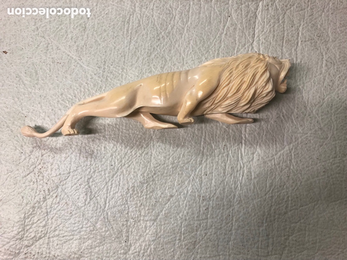 Kunst: Leon de marfil tallado a mano
