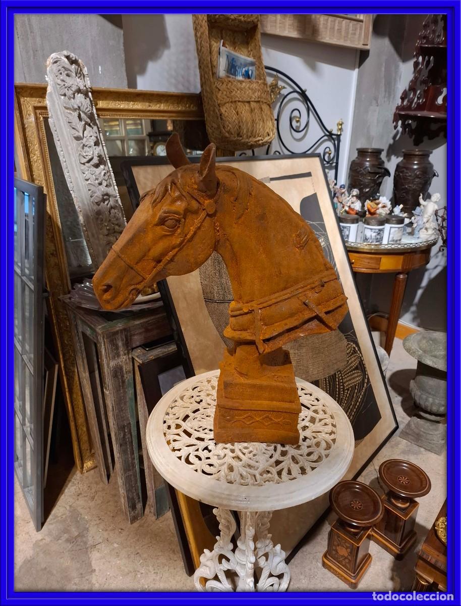 Arte: BUSTO O CABEZA DE UN CABALLO DE HIERRO EN TONO OXIDO