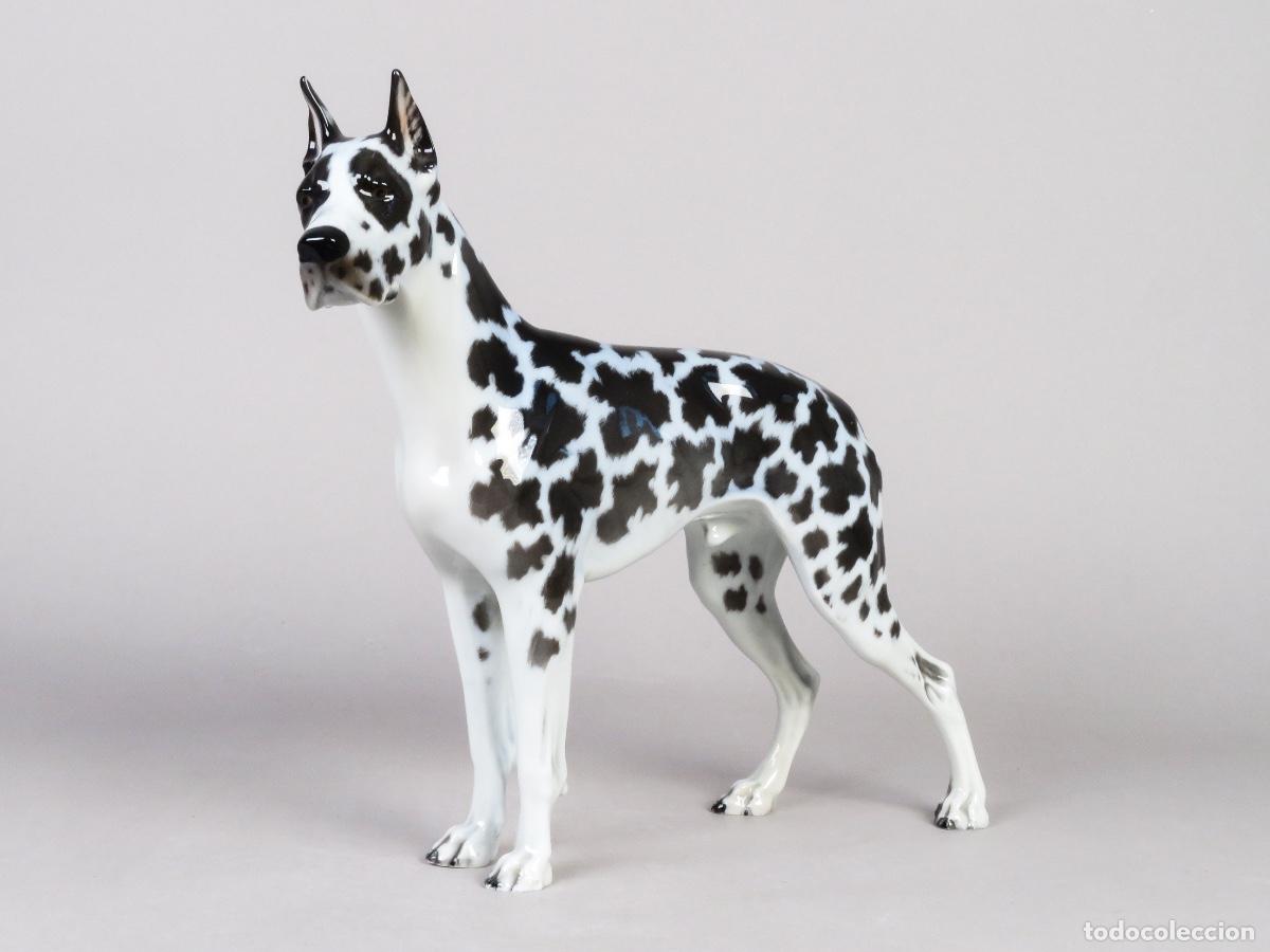 Arte: Escultura perro Gran Dan&eacute;s porcelana Rosenthal por Fritz Diller siglo XX