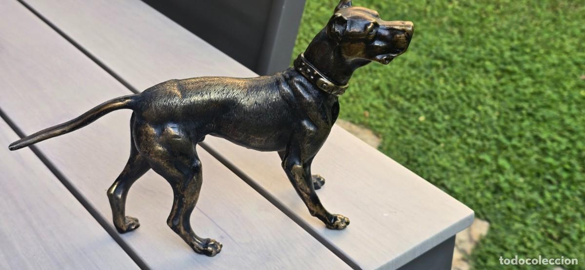 Arte: Escultura decorativa de perro tipo dogo &ndash; P&aacute;tina bronce envejecido &ndash; 28,5 cm