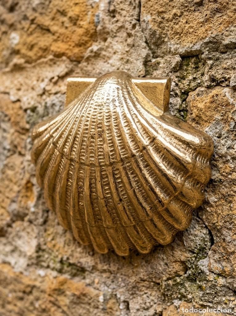 Arte: Concha jacobea bronce Camino Santiago