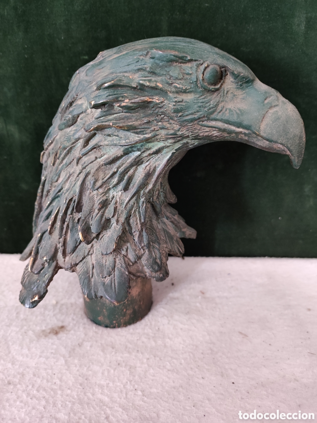 Kunst: Cabeza de &aacute;guila en bronce patinado