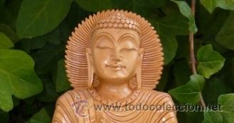Arte: Escultura de Buda en madera tropical (26 cms) - Foto 2