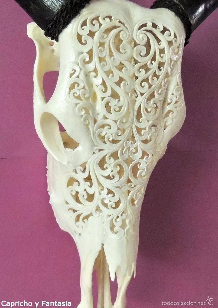 Arte: Cr&aacute;neo de ceb&uacute; n&ordm; 1832 - Foto 4