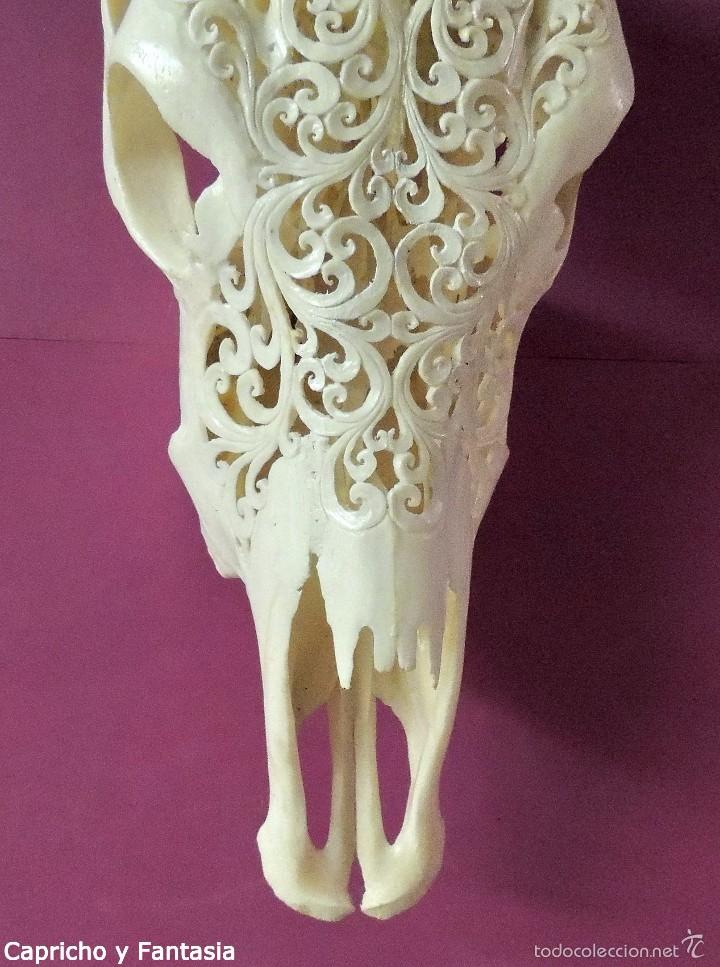 Arte: Cr&aacute;neo de ceb&uacute; n&ordm; 1832 - Foto 5