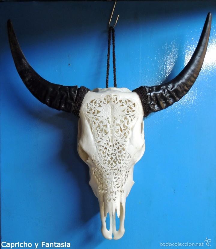 Arte: Cabeza de b&uacute;falo n&ordm; 1895 - Foto 1