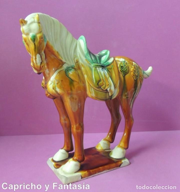 Arte: Caballo chino n&ordm; 1366 - Foto 9
