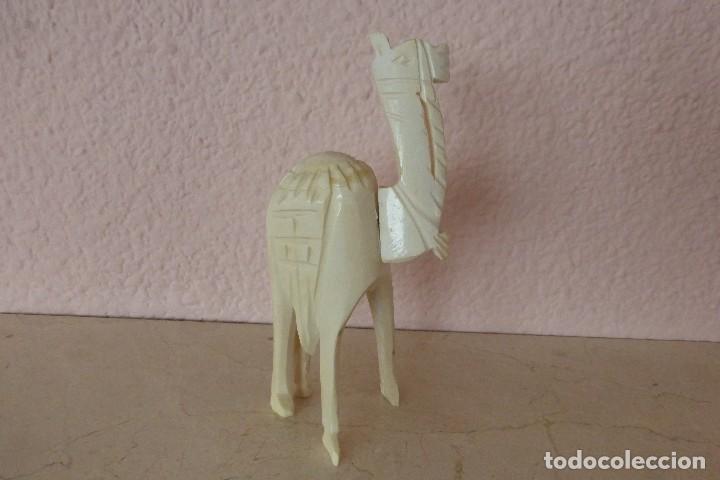 Arte: CAMELLO - Foto 1