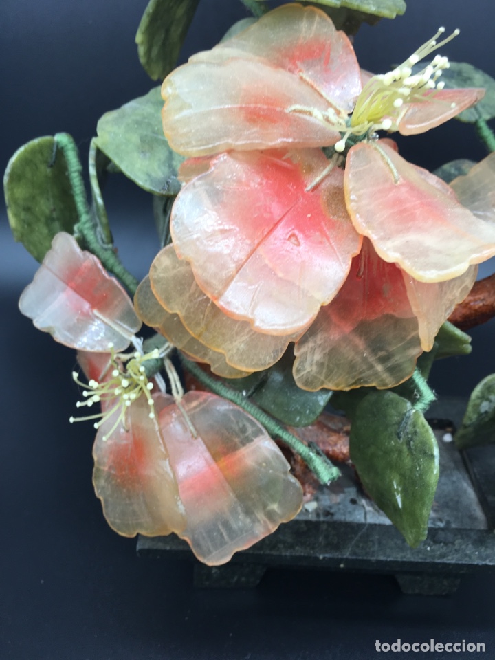 Arte: Bonsai De piedras duras - Foto 2