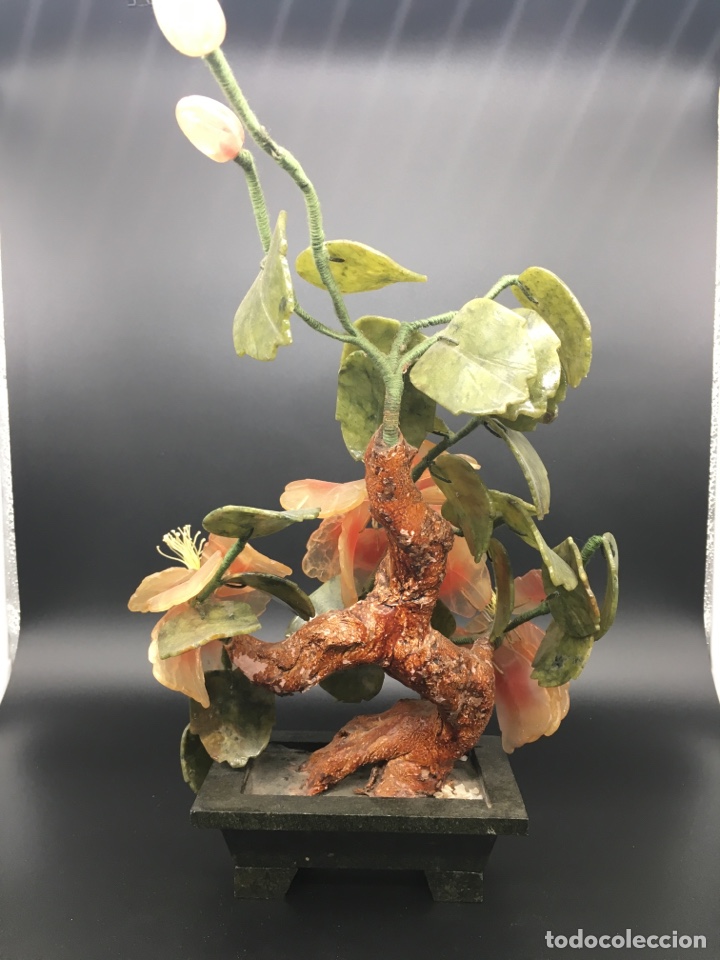 Arte: Bonsai De piedras duras - Foto 5