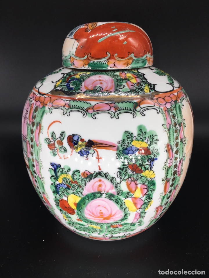 Arte: Tarro de Macau - Foto 4