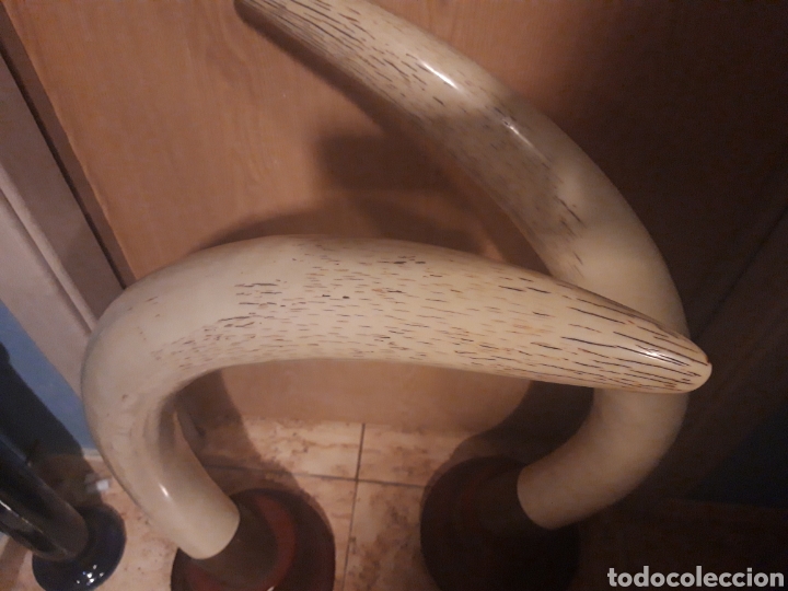 Arte: Colmillo elefante imitacion - Foto 3