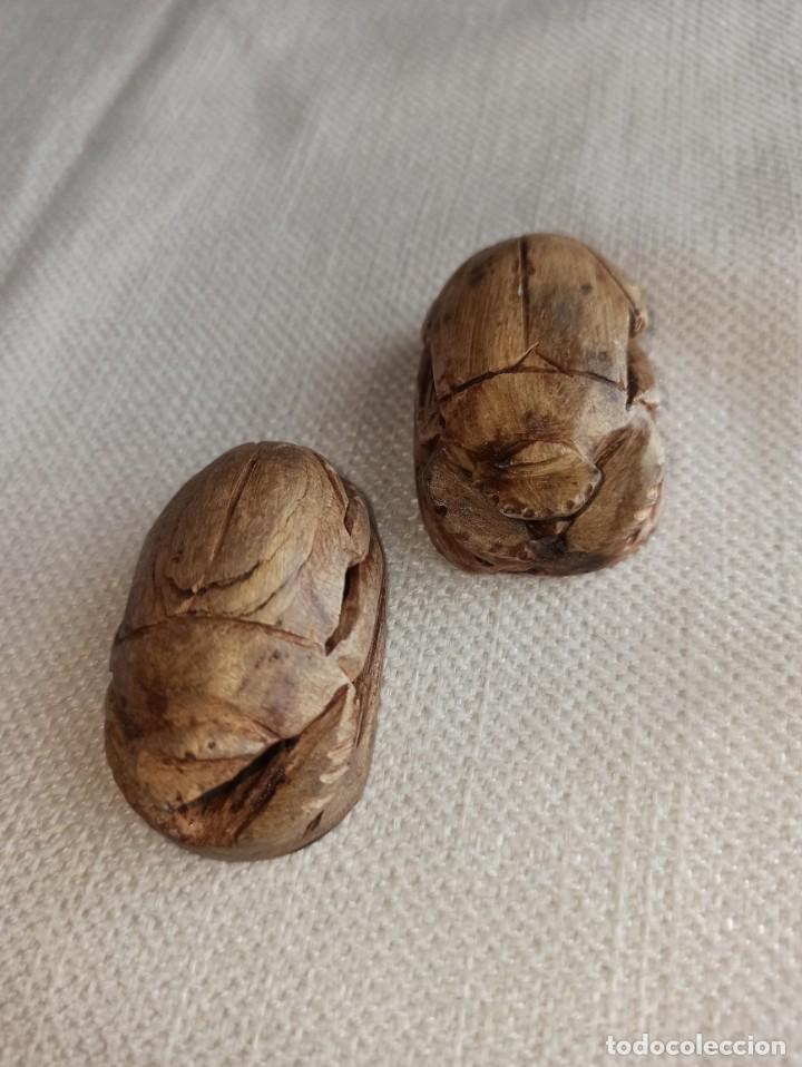 Arte: ESCARABAJOS EGIPCIOS - Foto 4