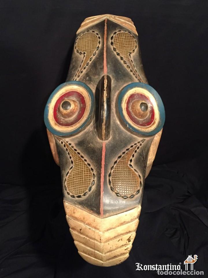 Arte: CASCO DOBLE CABEZA 71X35 - Foto 2