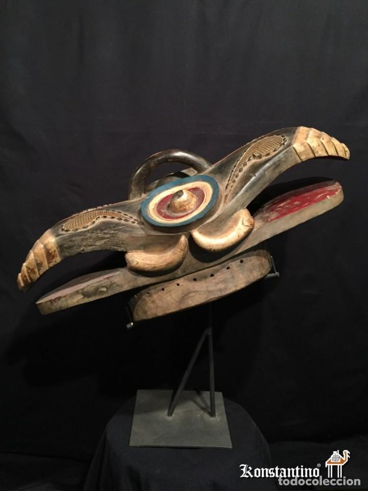 Arte: CASCO DOBLE CABEZA 71X35 - Foto 3