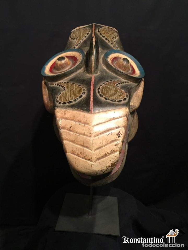 Arte: CASCO DOBLE CABEZA 71X35 - Foto 4