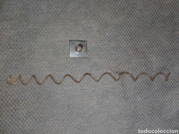 Arte: Ngelima snake money. - Foto 2