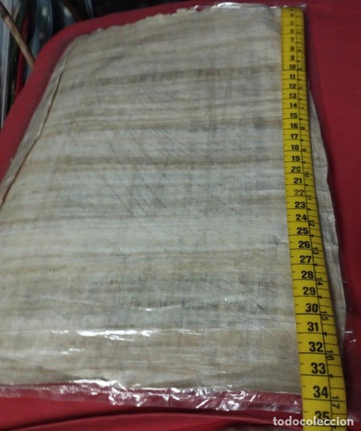 Arte: papiro Egipcio con certificado - Foto 4