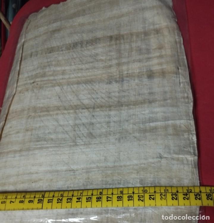 Arte: papiro Egipcio con certificado - Foto 5