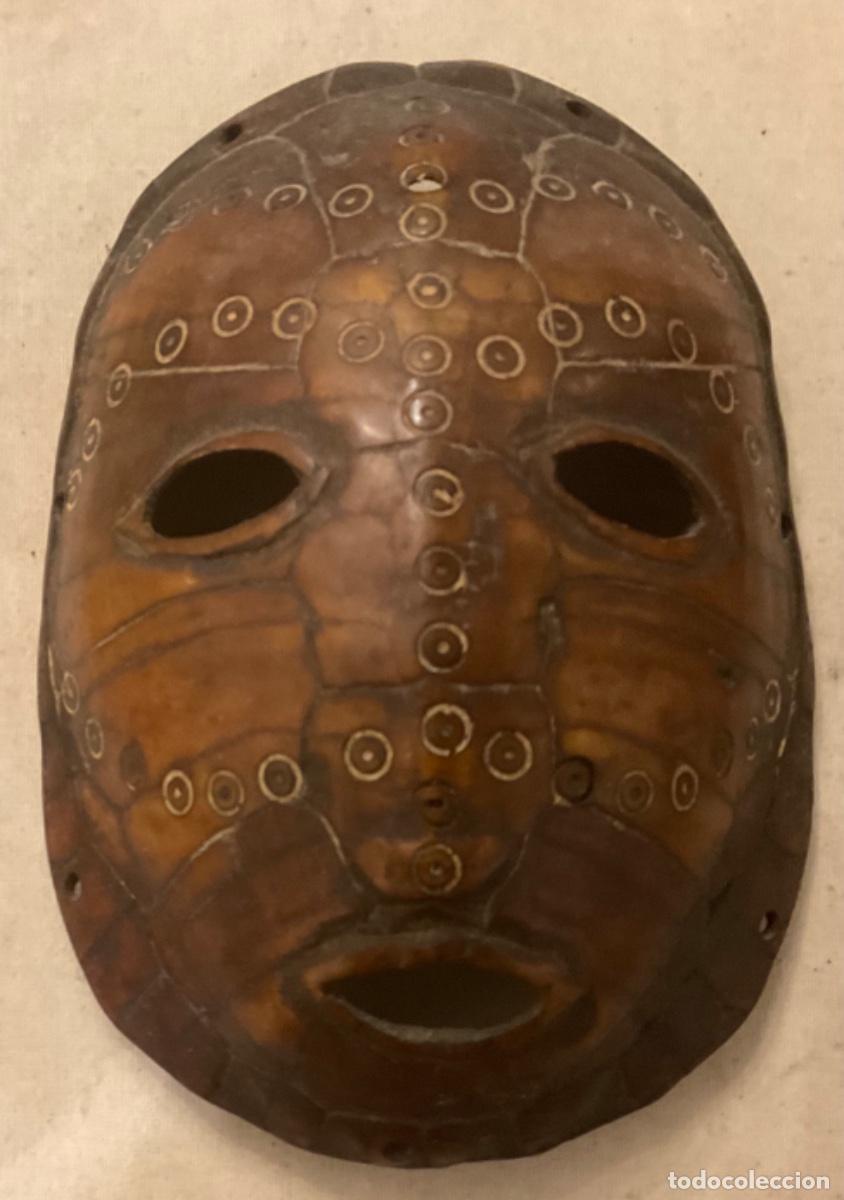 Arte: M&Aacute;SCARA SOBRE CAPARAZ&Oacute;N DE TORTUGA DE CAMER&Uacute;N - Foto 2