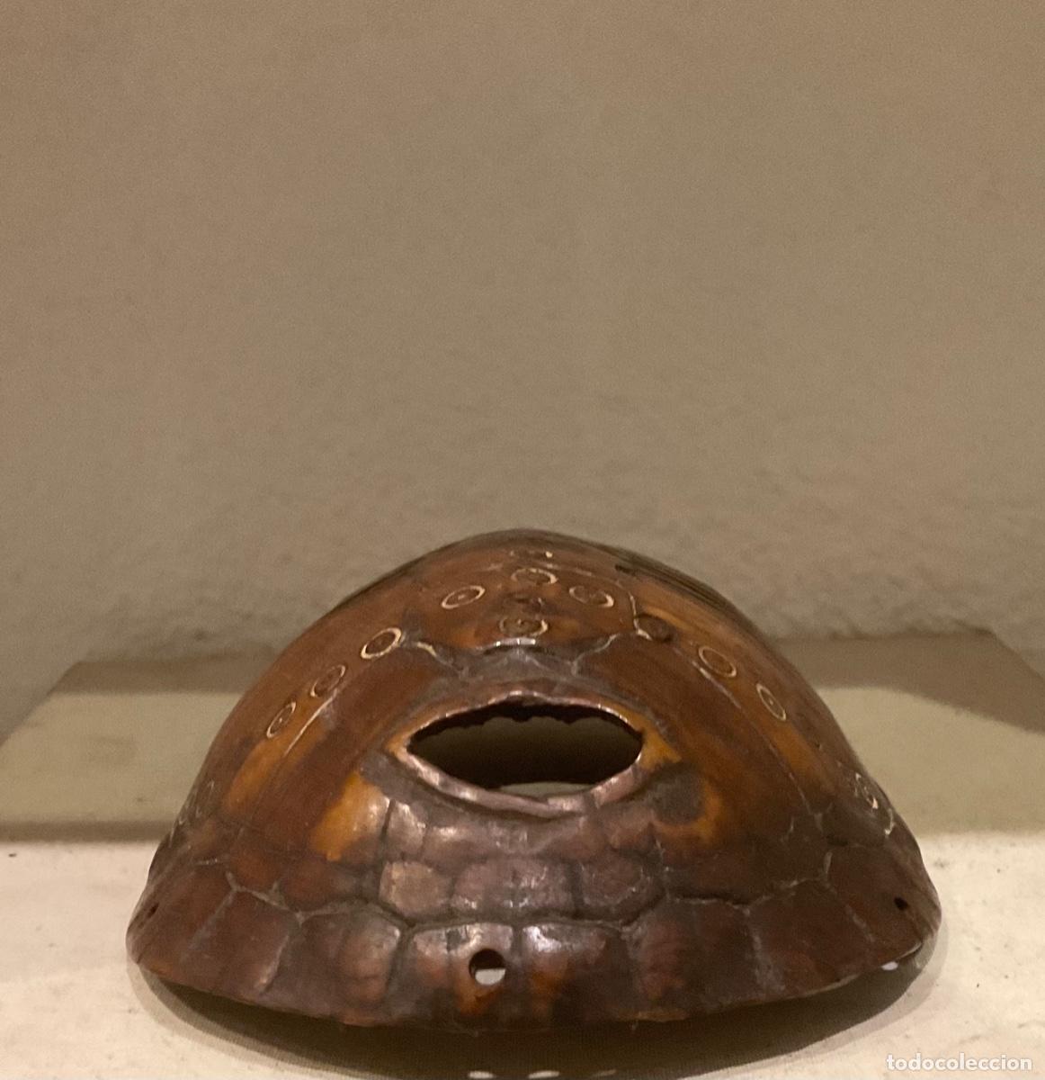 Arte: M&Aacute;SCARA SOBRE CAPARAZ&Oacute;N DE TORTUGA DE CAMER&Uacute;N - Foto 3