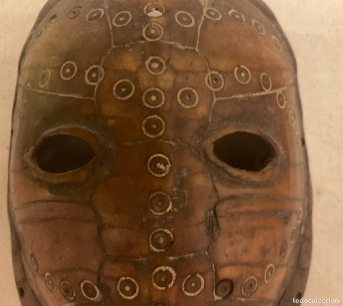 Arte: M&Aacute;SCARA SOBRE CAPARAZ&Oacute;N DE TORTUGA DE CAMER&Uacute;N - Foto 4