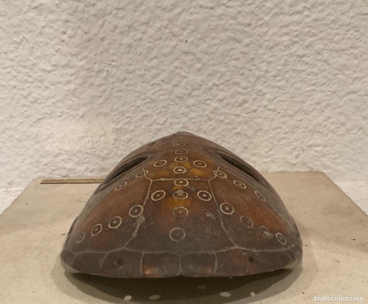 Arte: M&Aacute;SCARA SOBRE CAPARAZ&Oacute;N DE TORTUGA DE CAMER&Uacute;N - Foto 5