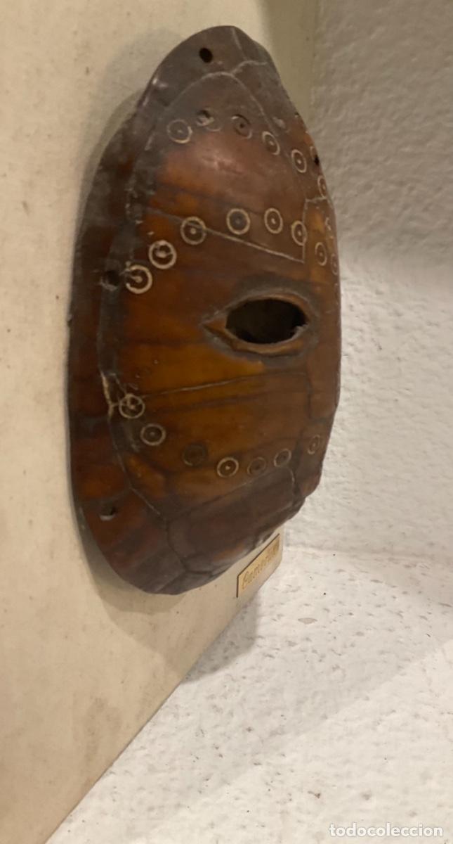 Arte: M&Aacute;SCARA SOBRE CAPARAZ&Oacute;N DE TORTUGA DE CAMER&Uacute;N - Foto 6