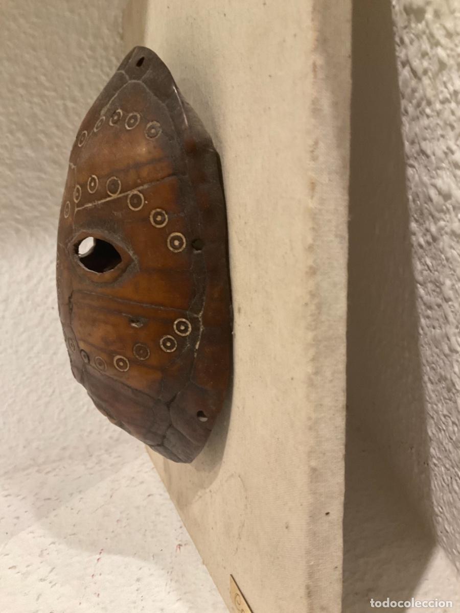 Arte: M&Aacute;SCARA SOBRE CAPARAZ&Oacute;N DE TORTUGA DE CAMER&Uacute;N - Foto 7