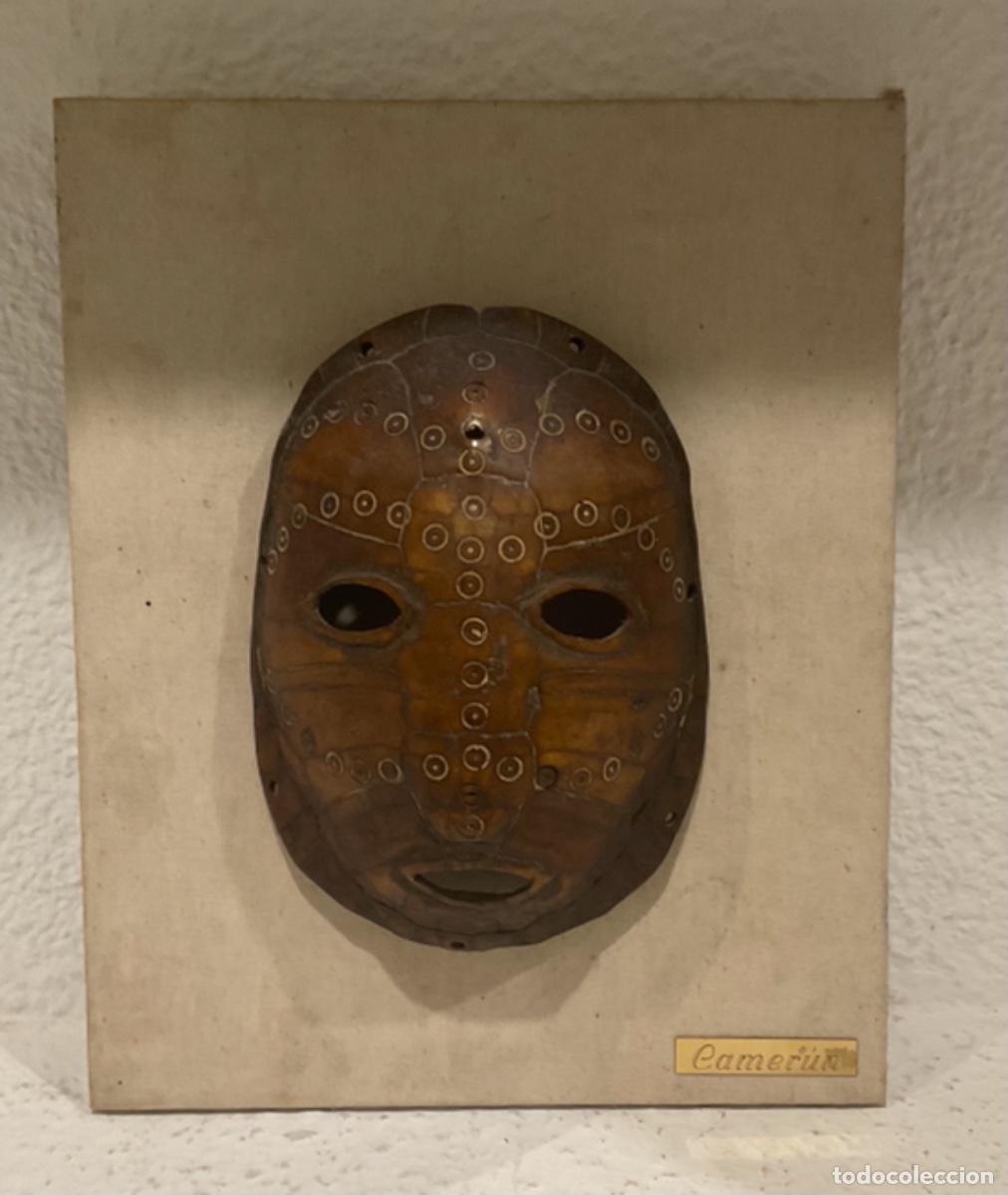 Arte: M&Aacute;SCARA SOBRE CAPARAZ&Oacute;N DE TORTUGA DE CAMER&Uacute;N - Foto 1
