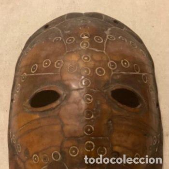 Arte: M&Aacute;SCARA SOBRE CAPARAZ&Oacute;N DE TORTUGA DE CAMER&Uacute;N - Foto 2