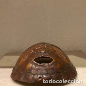 Arte: M&Aacute;SCARA SOBRE CAPARAZ&Oacute;N DE TORTUGA DE CAMER&Uacute;N - Foto 3