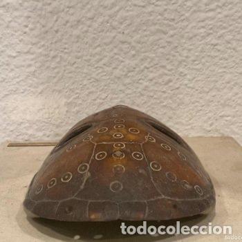 Arte: M&Aacute;SCARA SOBRE CAPARAZ&Oacute;N DE TORTUGA DE CAMER&Uacute;N - Foto 5