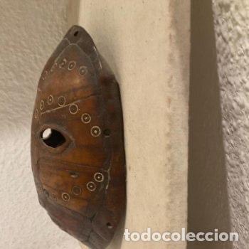 Arte: M&Aacute;SCARA SOBRE CAPARAZ&Oacute;N DE TORTUGA DE CAMER&Uacute;N - Foto 7