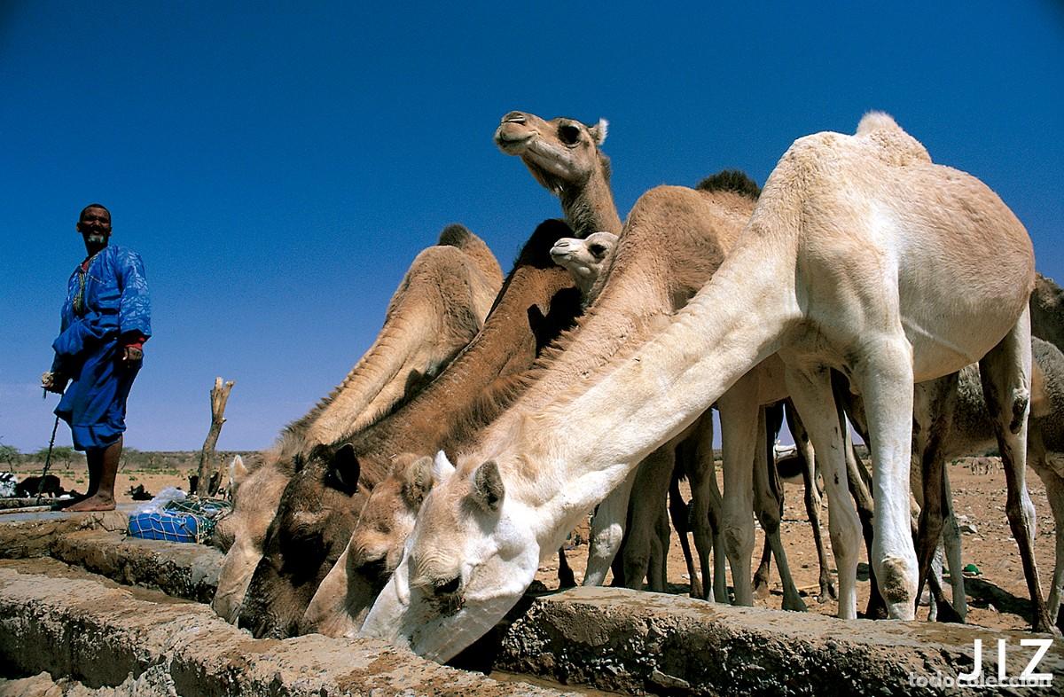 Arte: Pipa del Sahara - Foto 3